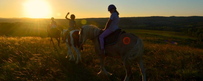 Sunset horse riding in Srem village Bulgaria