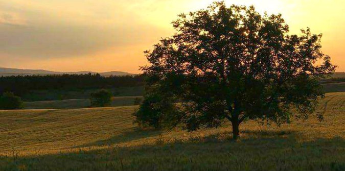 srem village bulgaria