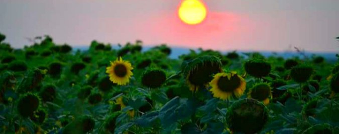 srem village, srem, horse riding bulgaria