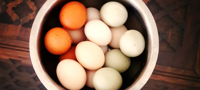 Farm to plate in Srem village Bulgaria