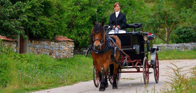 Maxine Williams (Windebank) ex-manager