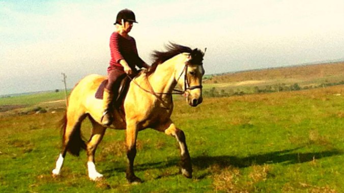 50330812_2671279436223081_8143969647822110720_n