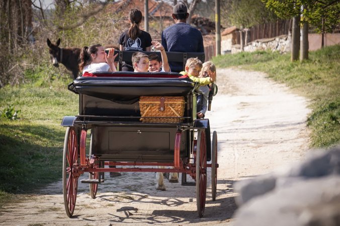 horse riding Bulgaria, horse riding holidays Bulgaria, Bulgarian horse riding holidays, affordable horse riding holidays, 15