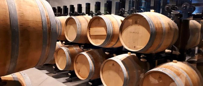 Casa Rubra vineyard bulgaria