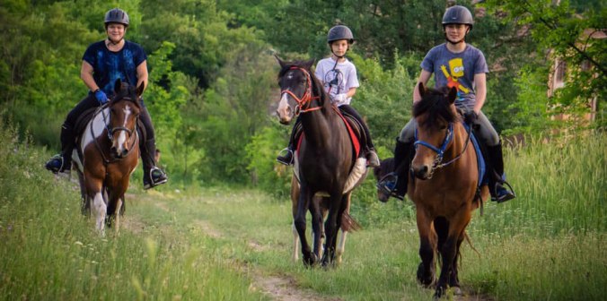 61094796_829239084116324_215809874557140992_n