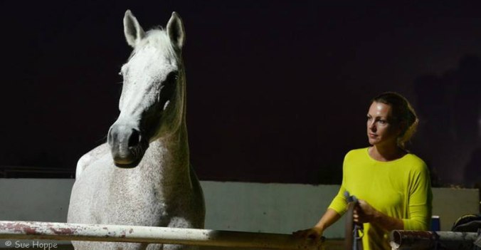 12348088_10153351991733247_2706968617436240907_n