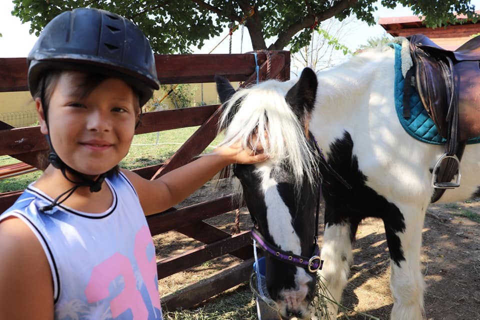 horse riding Bulgaria, horse riding holidays Bulgaria, Bulgarian horse riding holidays, affordable horse riding holidays, 9