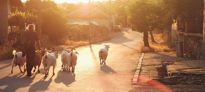 srem village, srem, bulgaria, horse riding bulgaria