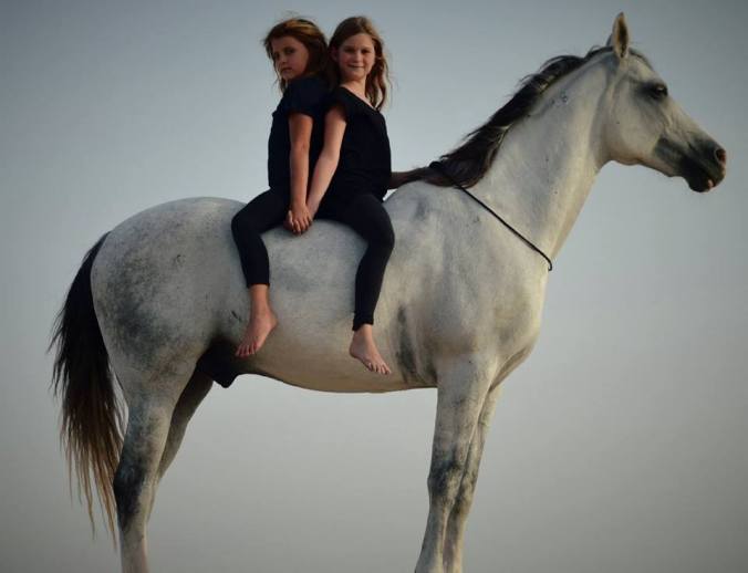 13466530_10154110282696041_6882674150033773022_n