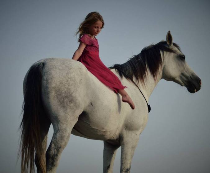 13532915_10154110260136041_9205608061134428433_n