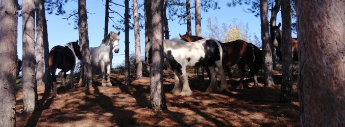 1e87f407-a084-4b96-9075-0bbdd279586f (2)