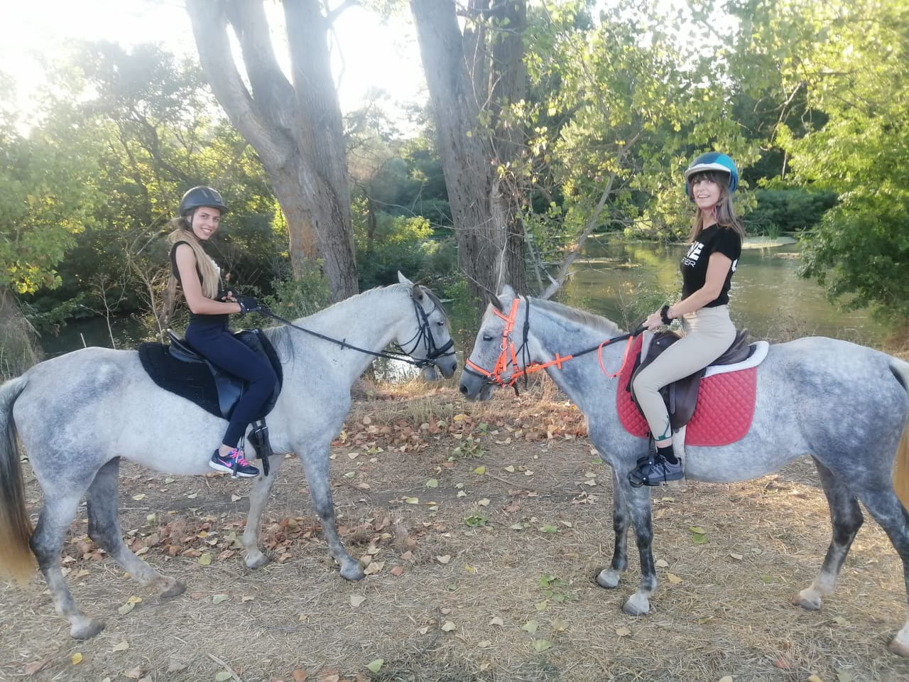 273238008_479645627024405_2020675735865869682_n